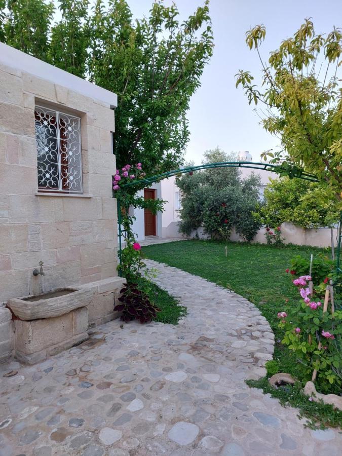 La Medusa Gardens Iskele District  Экстерьер фото